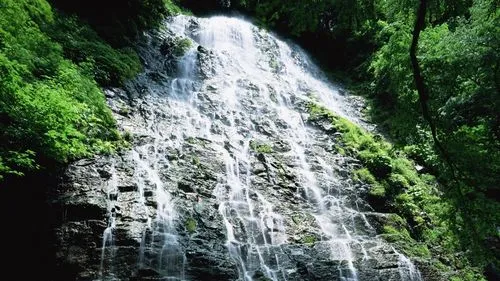 绿色智能